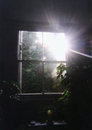 Photograph of the sun shining through a window